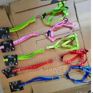 Puppy Dog Leash