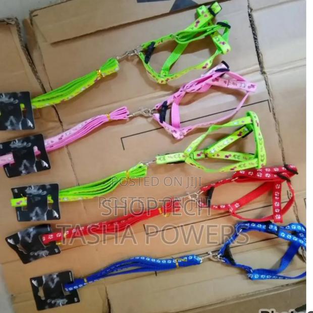 Puppy Dog Leash - main view