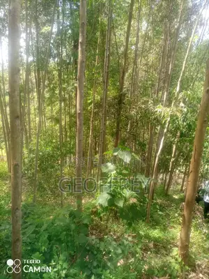 Selling 1/2 Acre in Kiganjo Rd Ngenda Gatundu