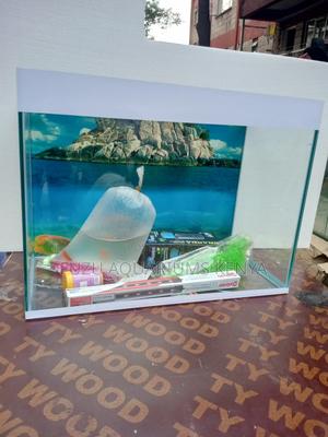 Small White Aquarium With Fish and Deco - thumbnail 2