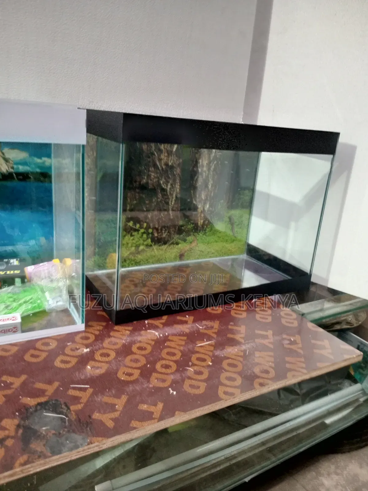 Birthday Gift Aquarium