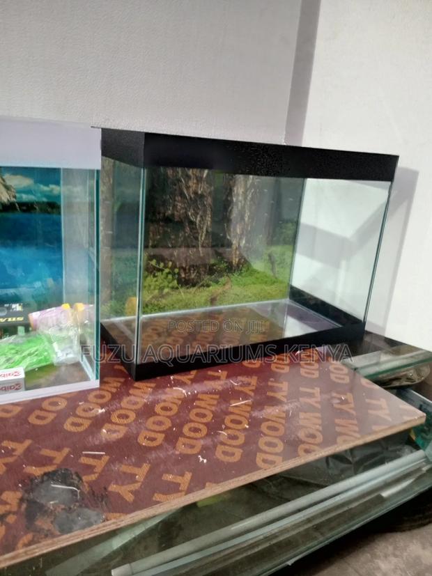 Birthday Gift Aquarium