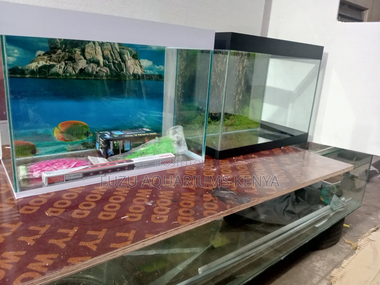 Birthday Gift Aquarium Fish Tank