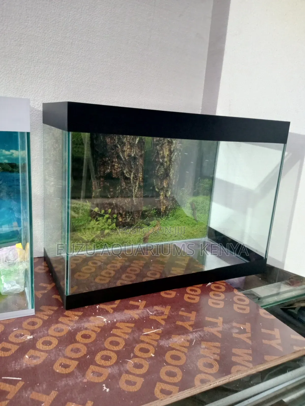 Aquarium Anniversary Gift