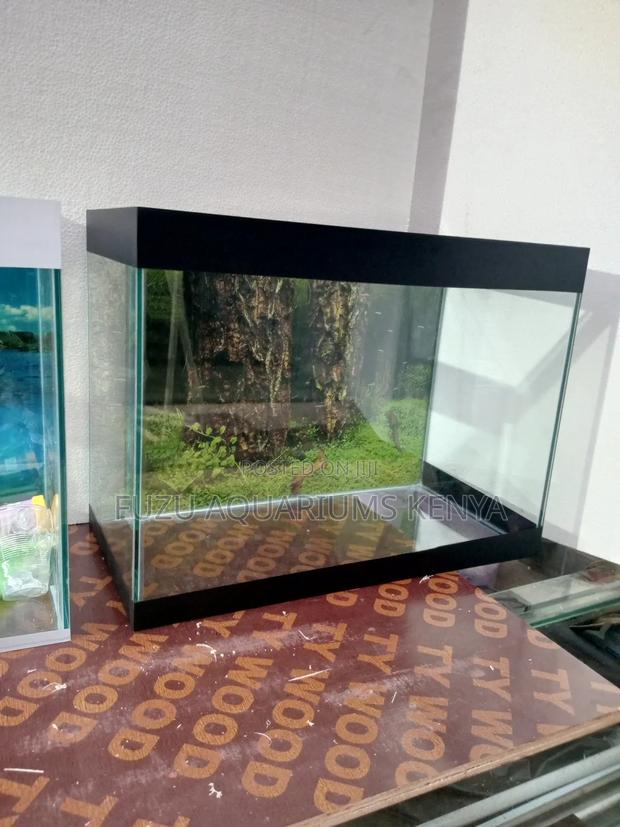 Aquarium Anniversary Gift