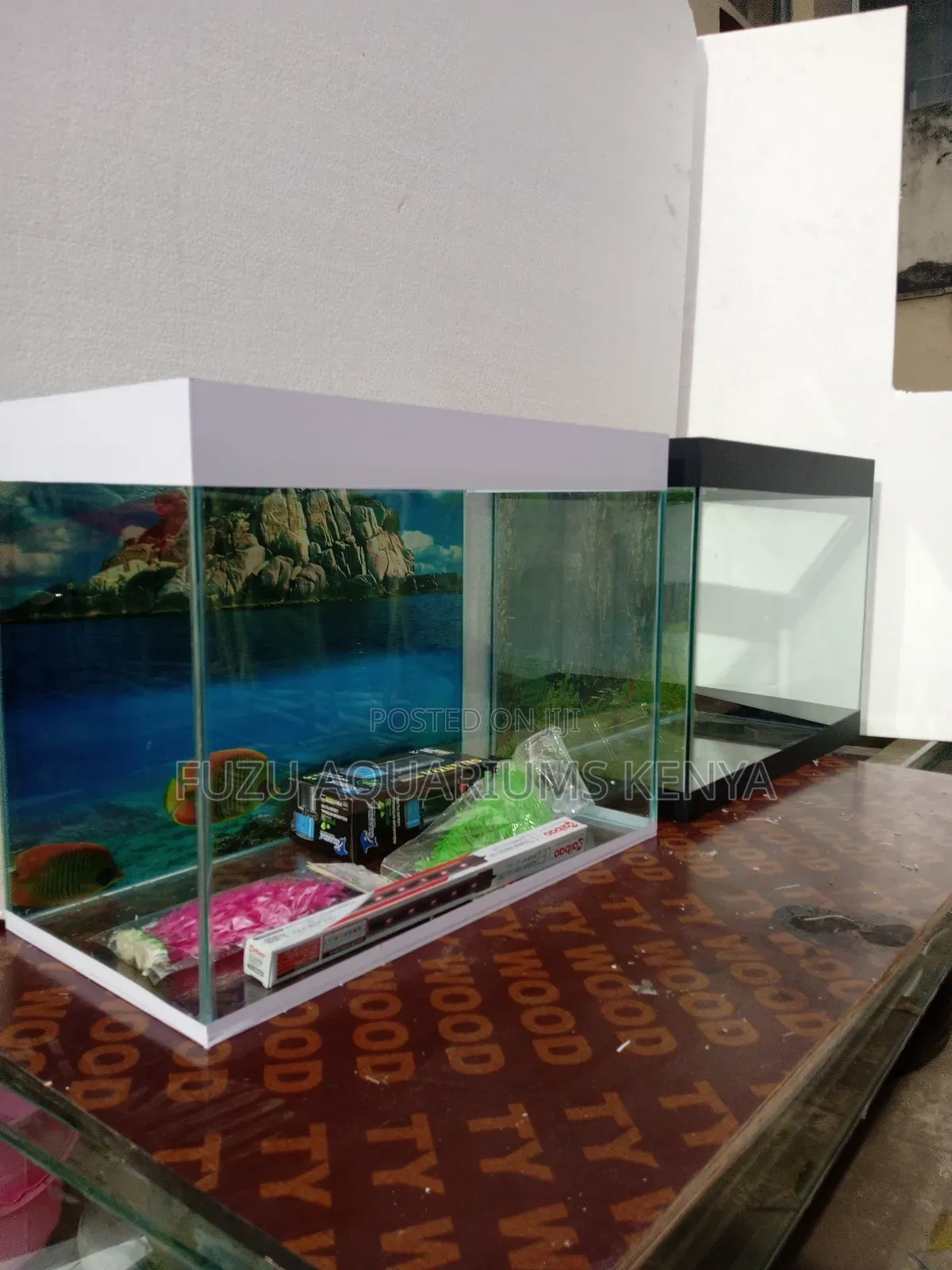 Graduation Gift Aquarium
