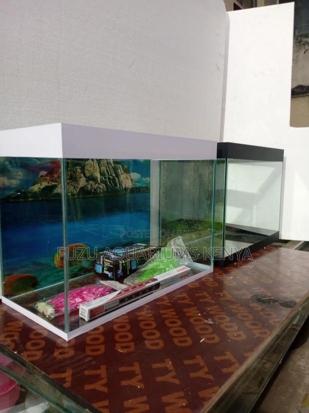 Graduation Gift Aquarium