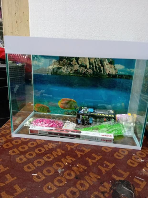 Small Aquarium With All Accessories 40ltrs - main view