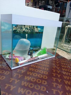 Lovely Small Aquarium With Fish and Deco - thumbnail 2