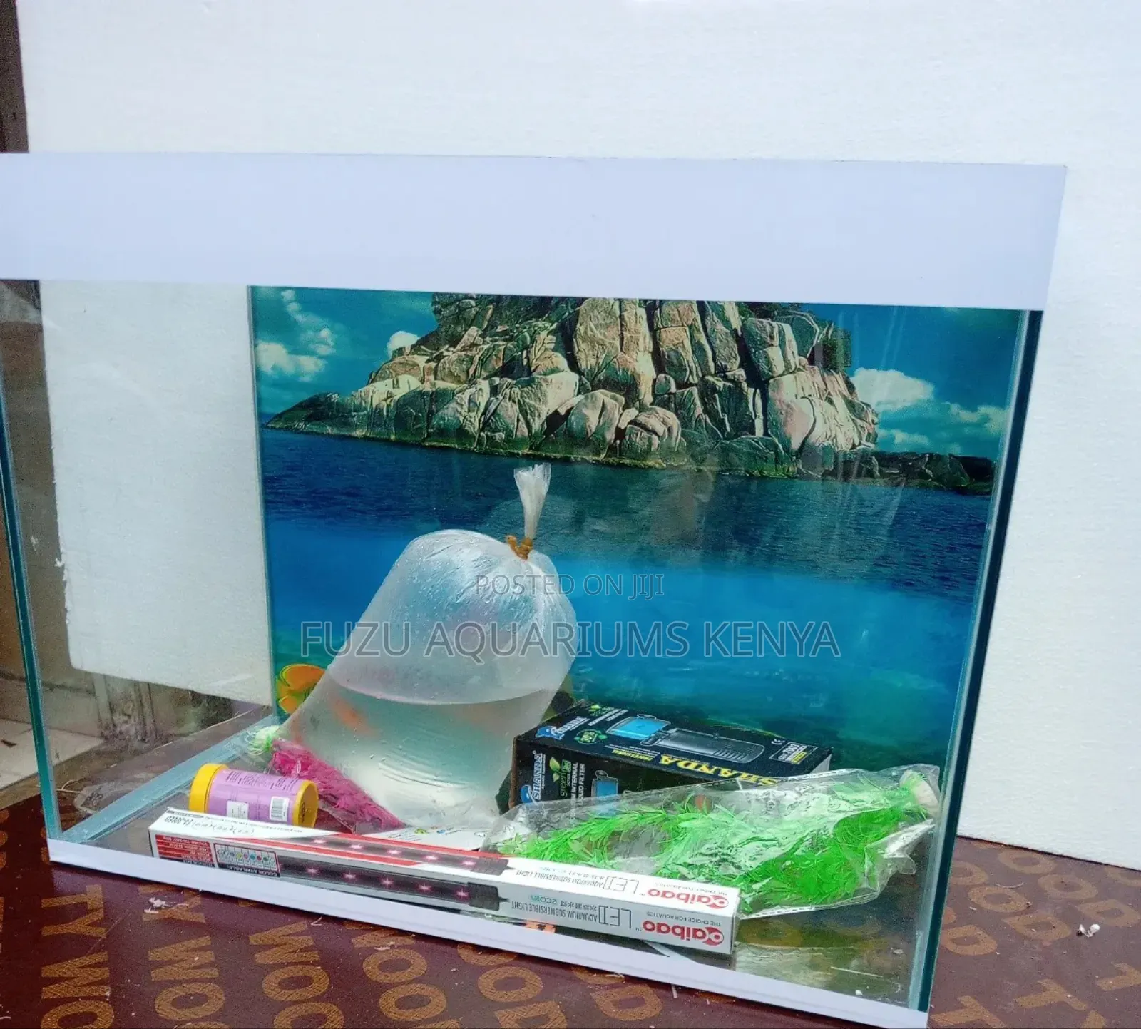 Beautiful Small Aquarium With All Accessories and Fish