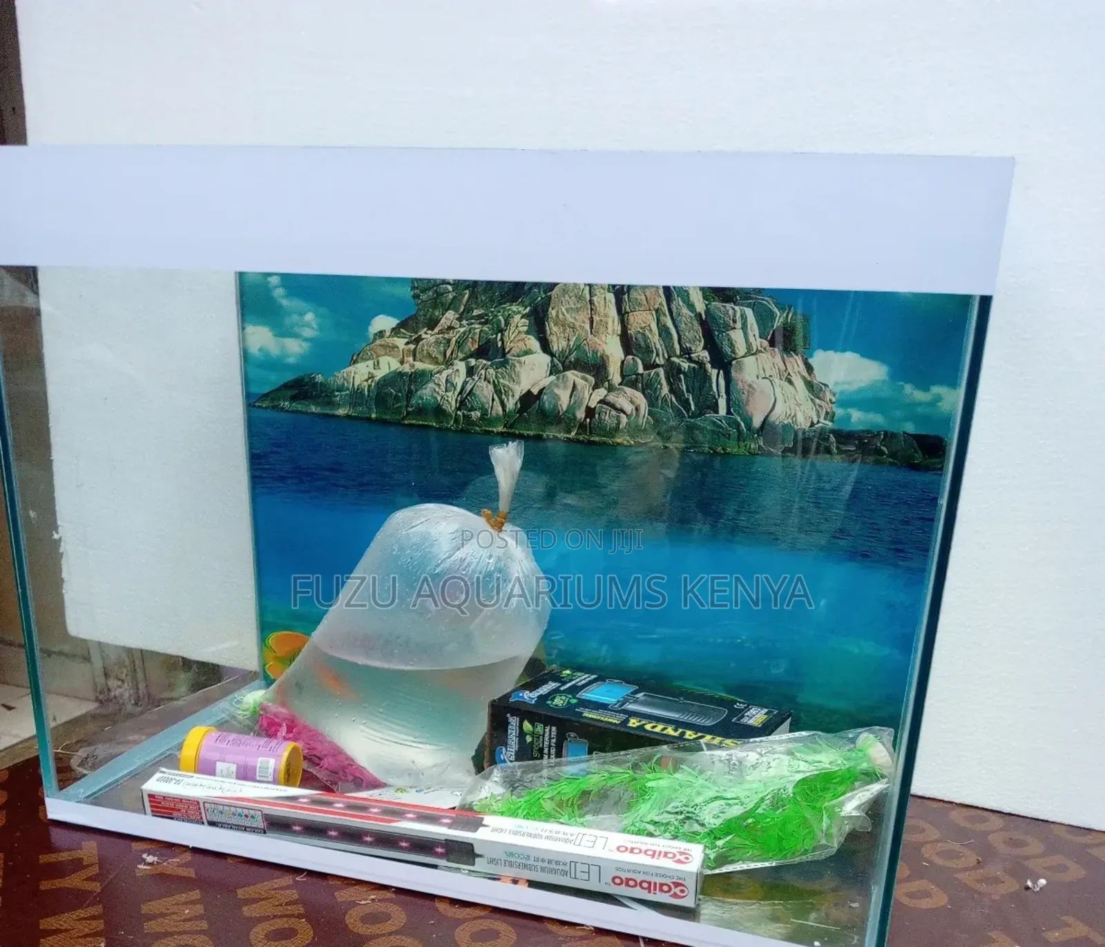 Small Aquarium for Home/Office