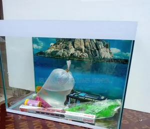 Small Aquarium for Home/Office