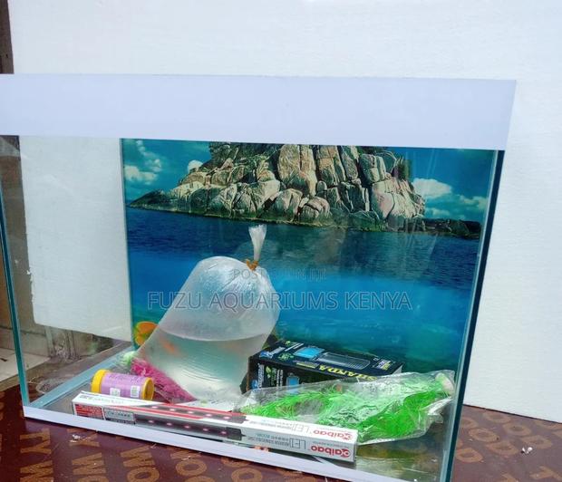 Small Aquarium for Home/Office