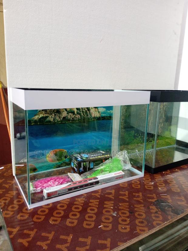 Aquarium With Complete Deco and Fish - main view