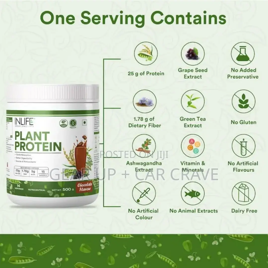 Inlife Vegan Protein 25g - 500g