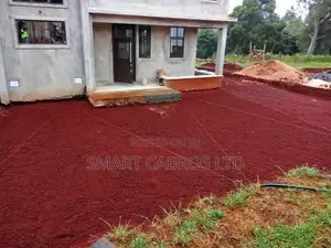 Ground Leveling and Cabros Installation