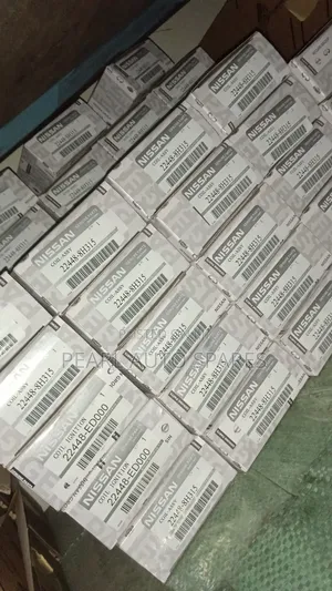 Ignation Coils Nissan