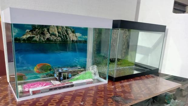 Desktop Aquarium Any Color Available