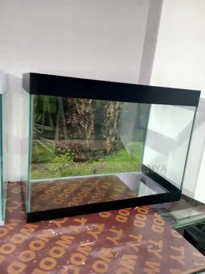 Brand New Aquarium With 10fish and Complete Deco