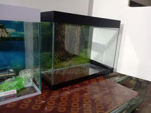 Brand New Aquarium With 10fish and Complete Deco