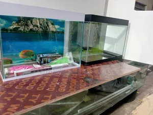 Brand New Aquarium With 10fish and Complete Deco