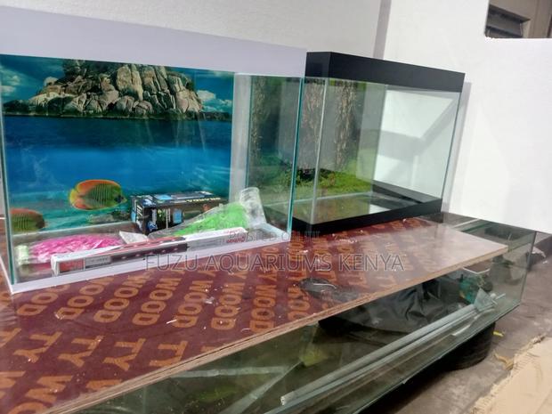 Brand New Aquarium With 10fish and Complete Deco - thumbnail 4