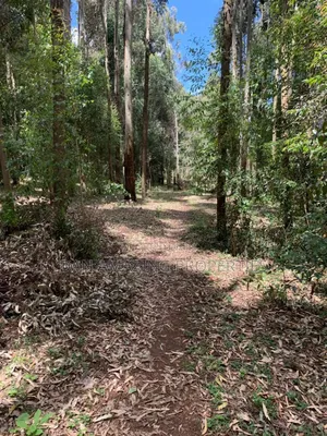 8.5 Acres in Nyandarua Matindiri Gwakiongo for Sale