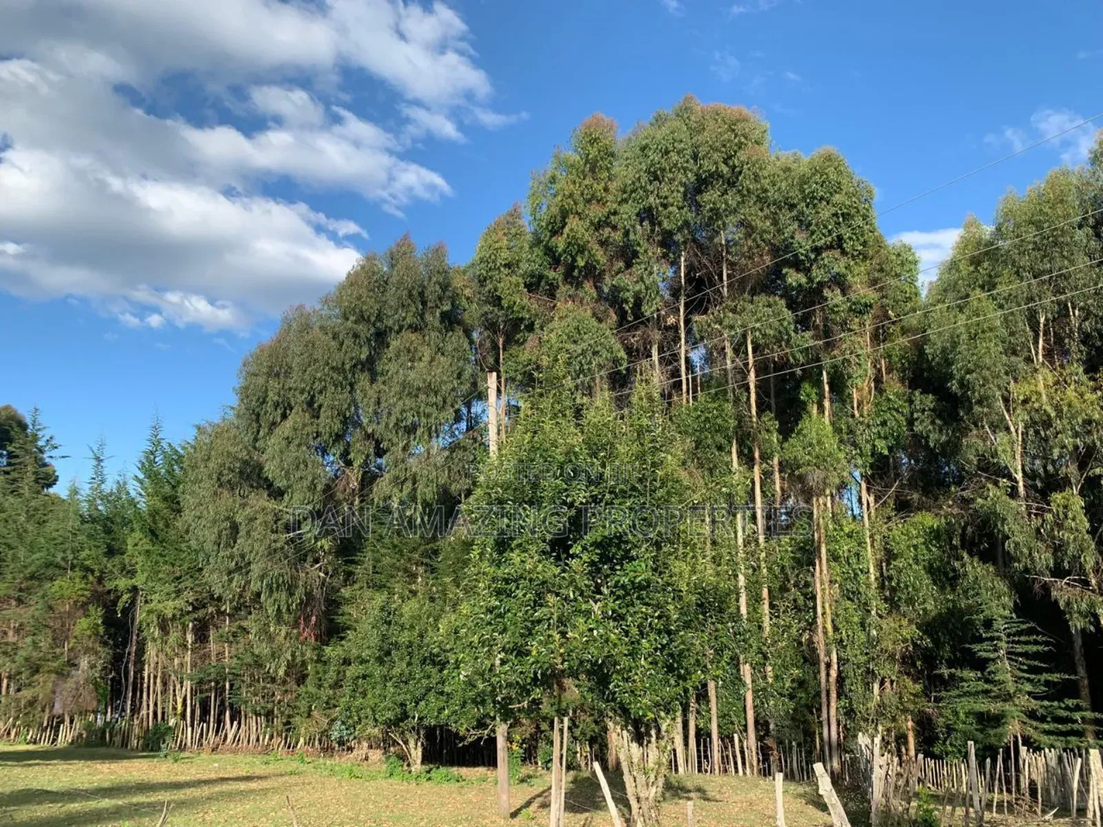 8.5 Acres in Nyandarua Matindiri Gwakiongo for Sale