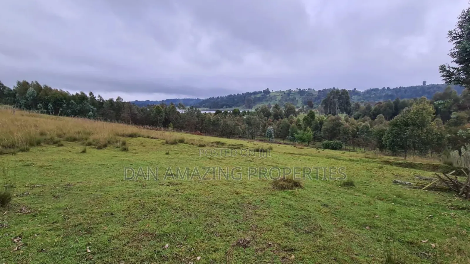 8.5 Acres in Nyandarua Matindiri Gwakiongo for Sale