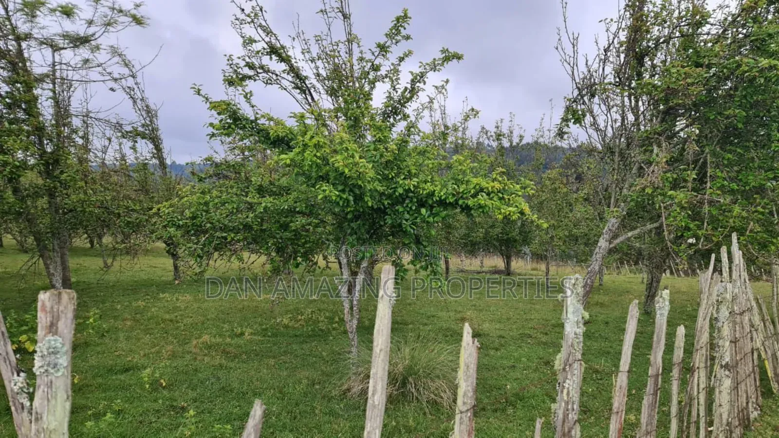 8.5 Acres in Nyandarua Matindiri Gwakiongo for Sale