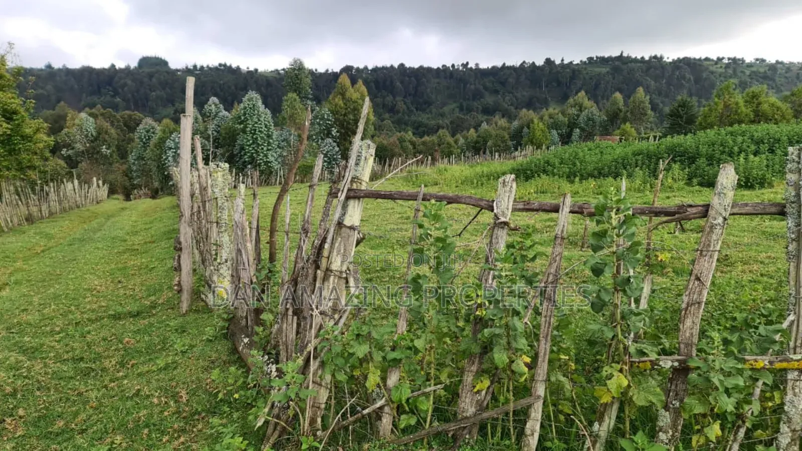 8.5 Acres in Nyandarua Matindiri Gwakiongo for Sale