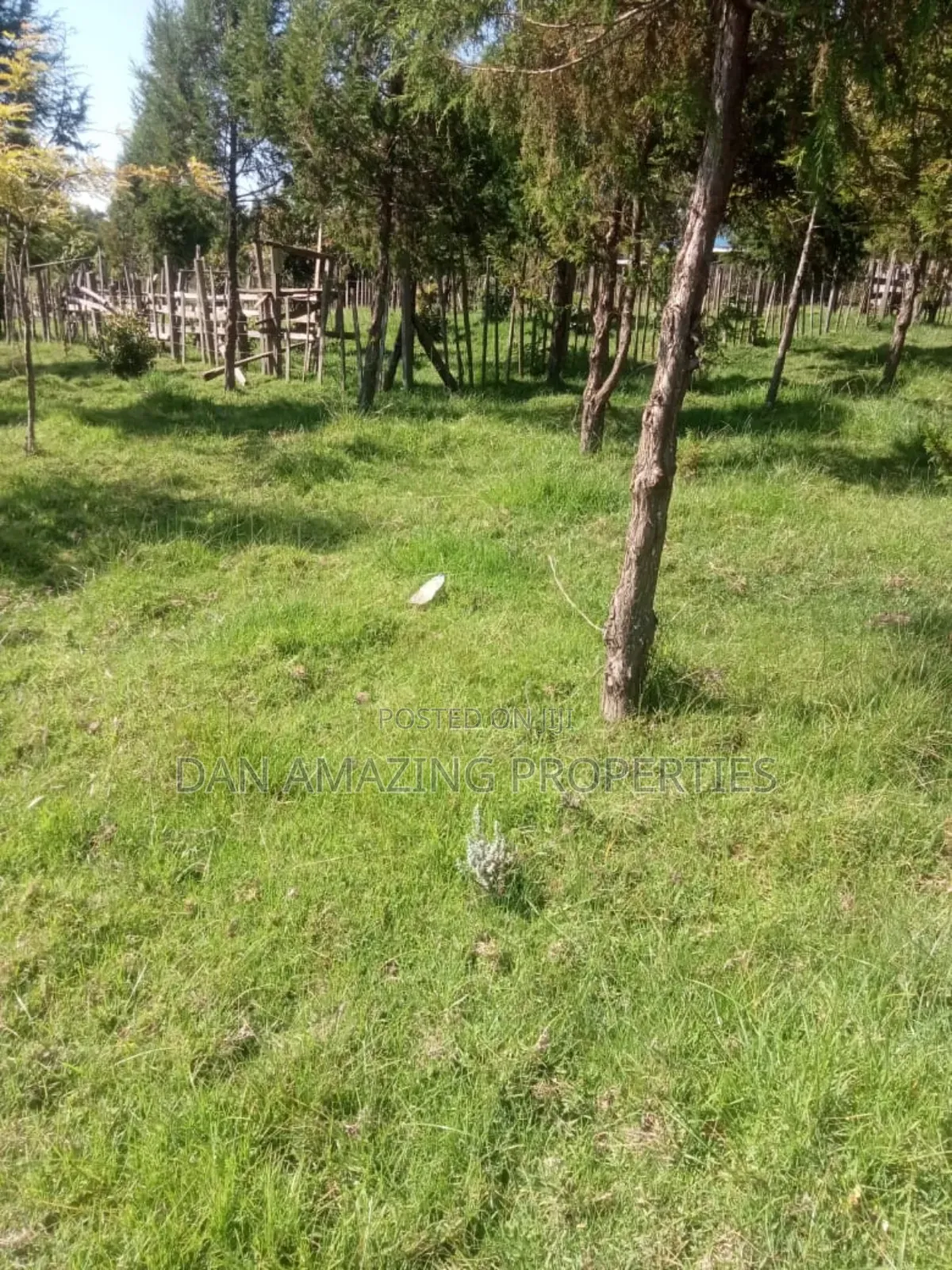 8.5 Acres in Nyandarua Matindiri Gwakiongo for Sale