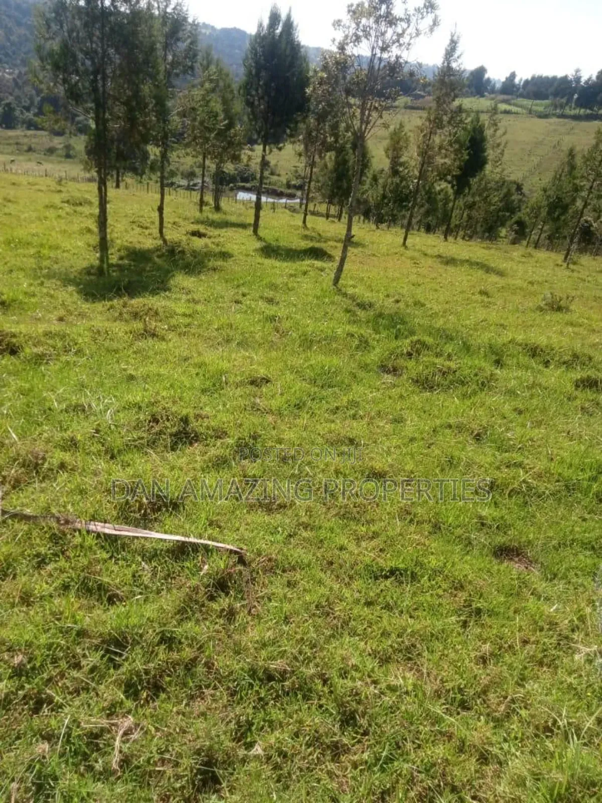 8.5 Acres in Nyandarua Matindiri Gwakiongo for Sale