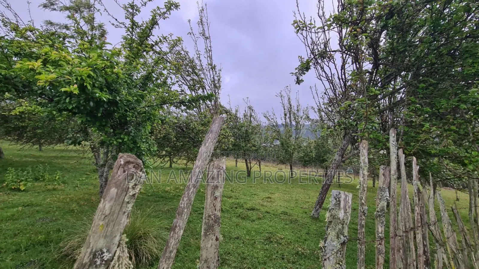 8.5 Acres in Nyandarua Matindiri Gwakiongo for Sale