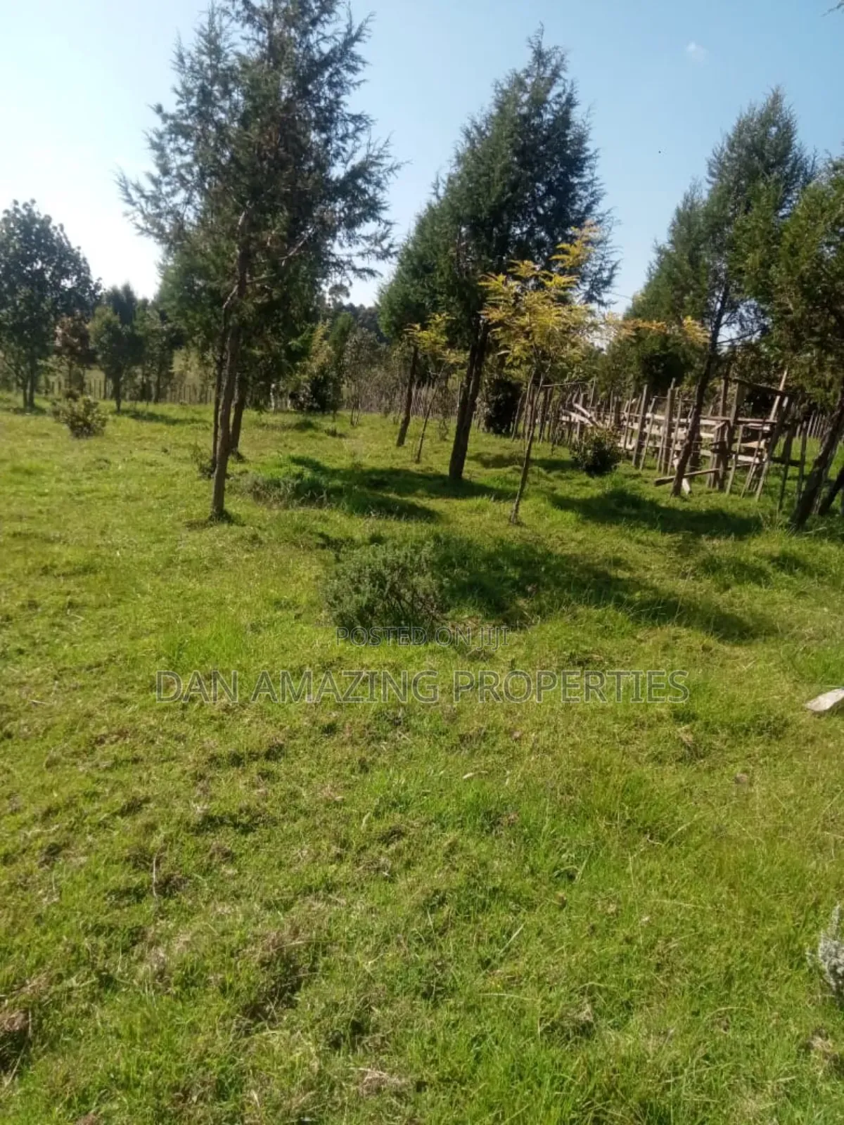 8.5 Acres in Nyandarua Matindiri Gwakiongo for Sale