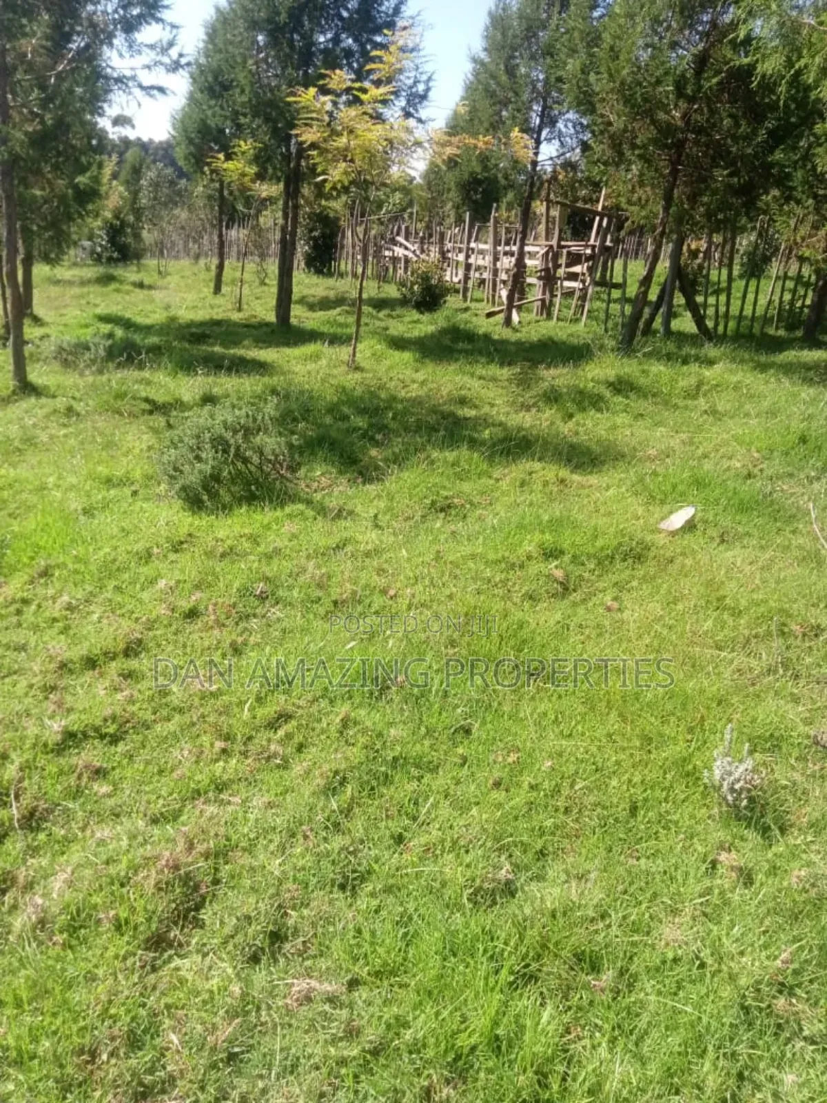 8.5 Acres in Nyandarua Matindiri Gwakiongo for Sale