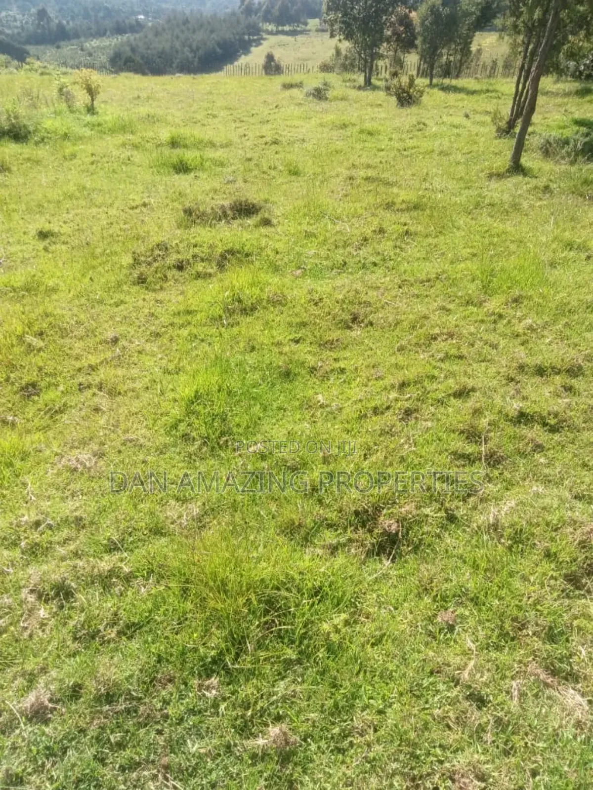 8.5 Acres in Nyandarua Matindiri Gwakiongo for Sale