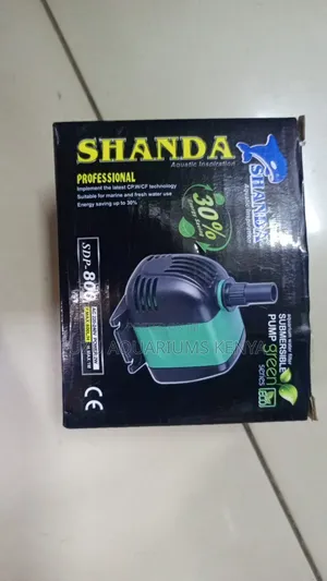 Small Fountain Pump.