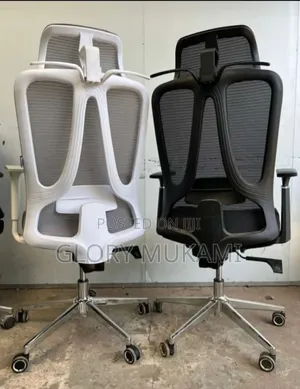 Headrest and Back Office Chairs