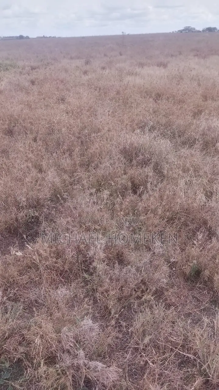 100 Acres for Sale in Isinya