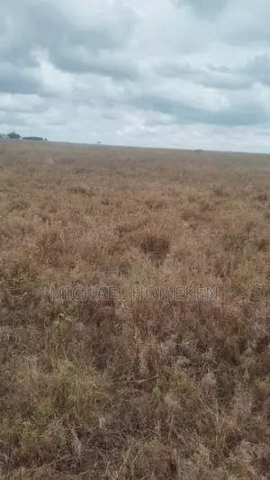 100 Acres for Sale in Isinya