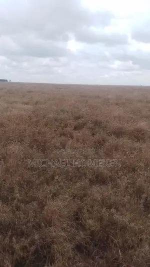100 Acres for Sale in Isinya
