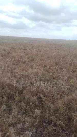 100 Acres for Sale in Isinya