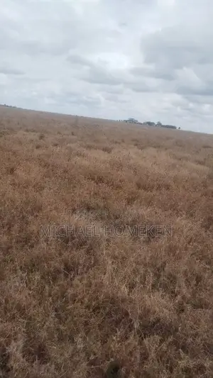 100 Acres for Sale in Isinya