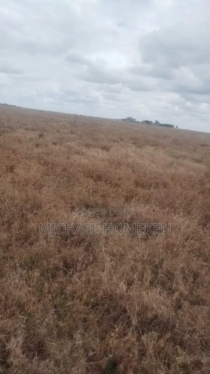 100 Acres for Sale in Isinya