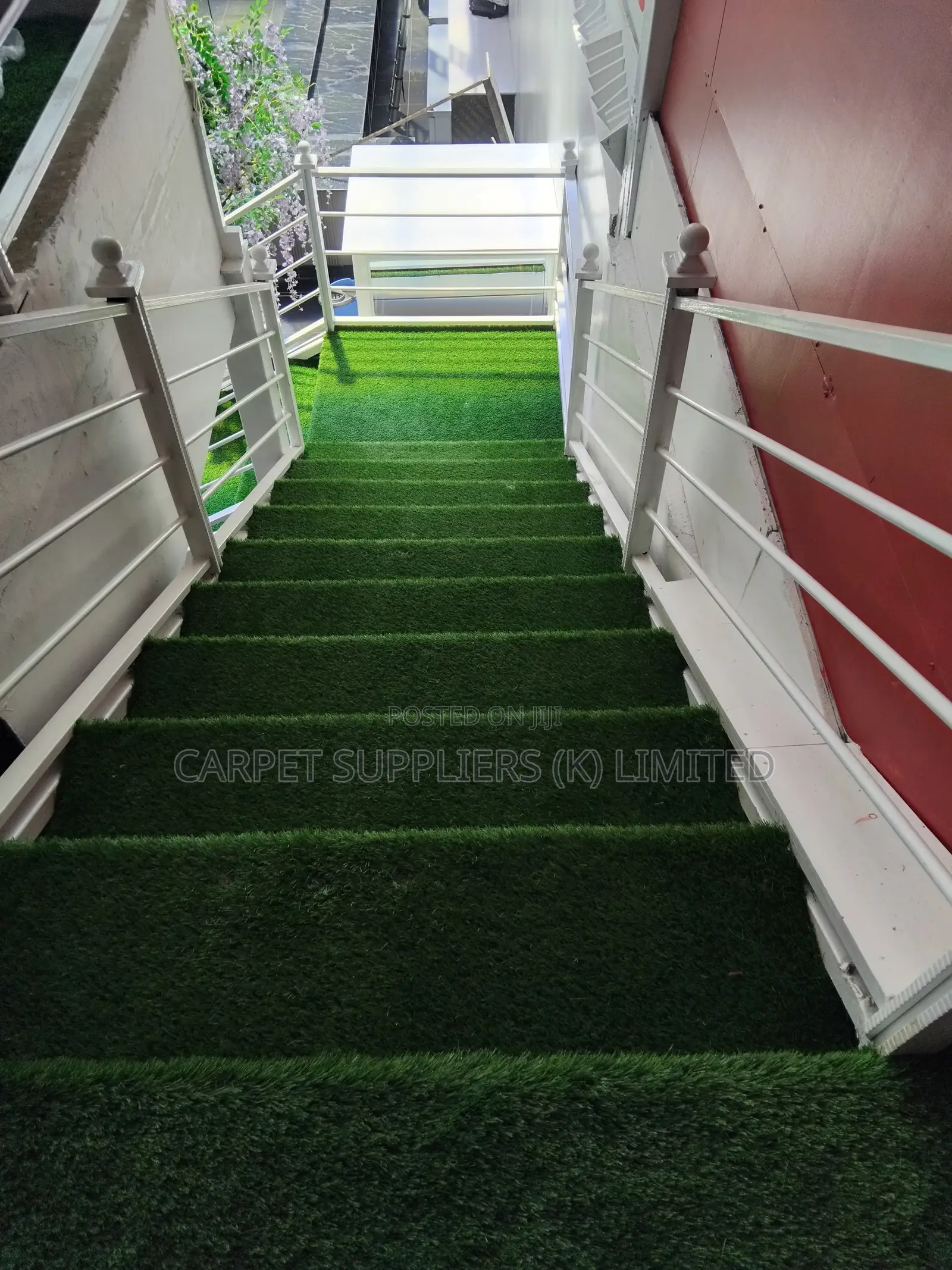 Walkway(Turf)Grass2