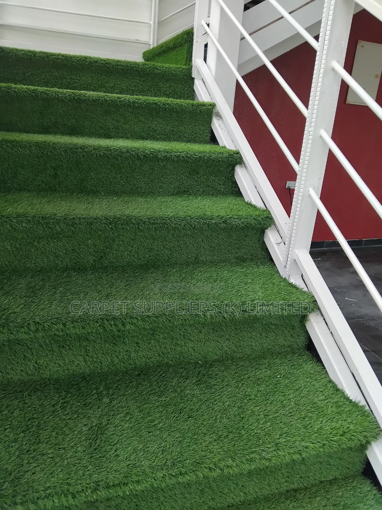 Cozy Ambience (Grass Carpet)