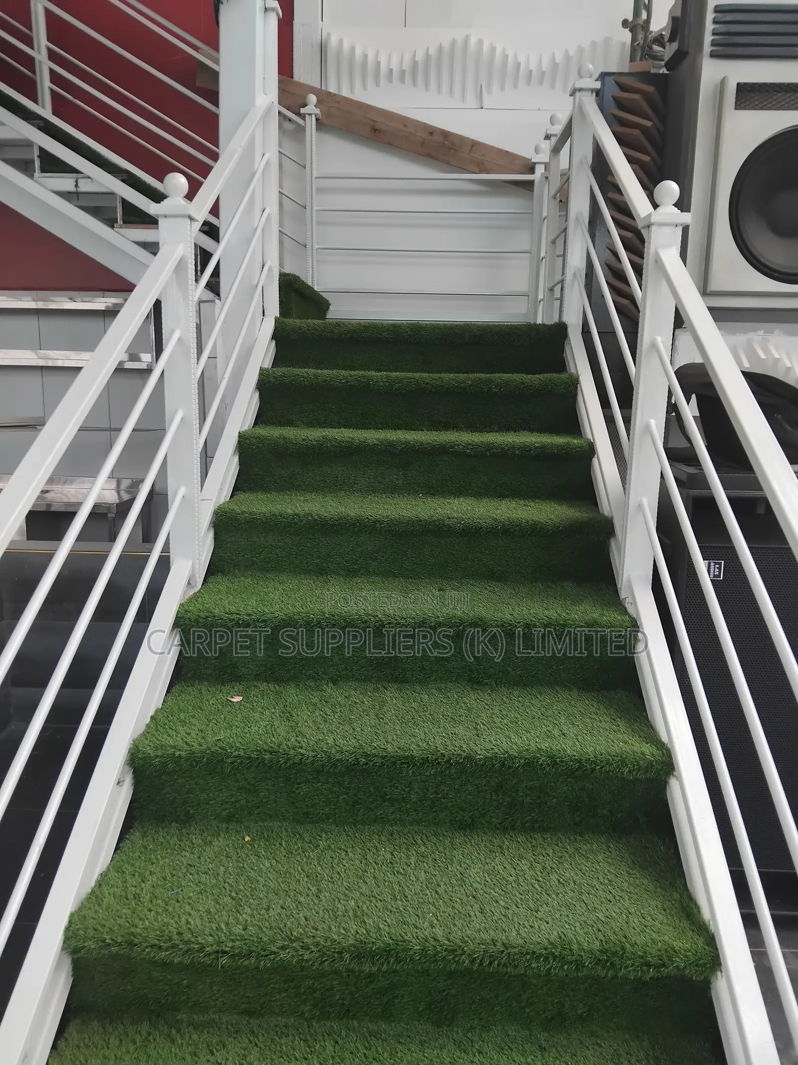 Entry Way Grass Carpet