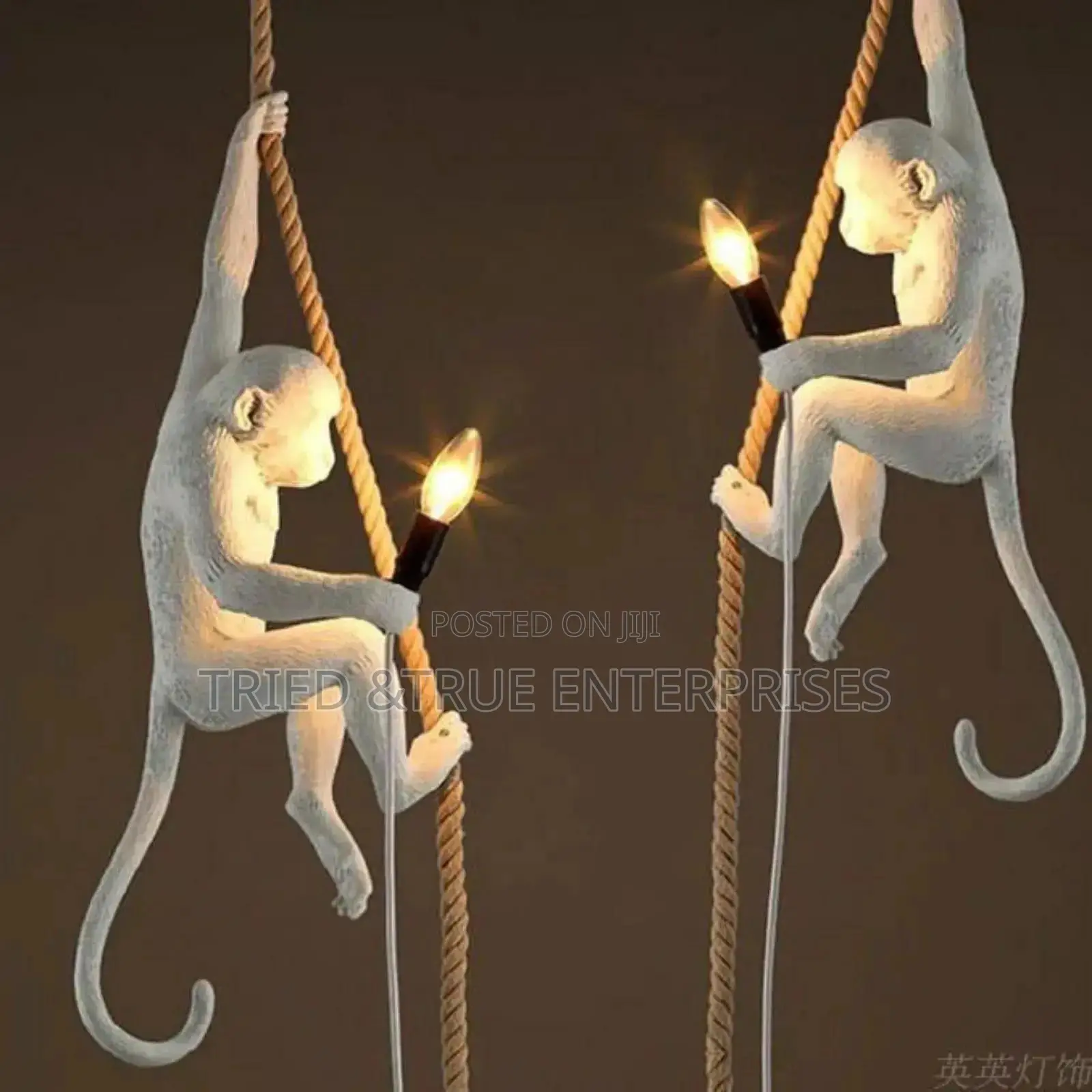 White Monkey Hanging Light Jh5