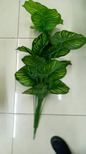 1m Stripped Plant Beautiful Home Piece